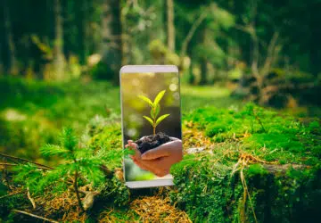 Smartphone avec un fond d'écran nature posé au sol dans une forêt ombragée