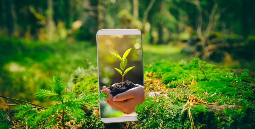 Smartphone avec un fond d'écran nature posé au sol dans une forêt ombragée